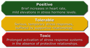 toxic-stress-response-page