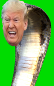 snakeTrump